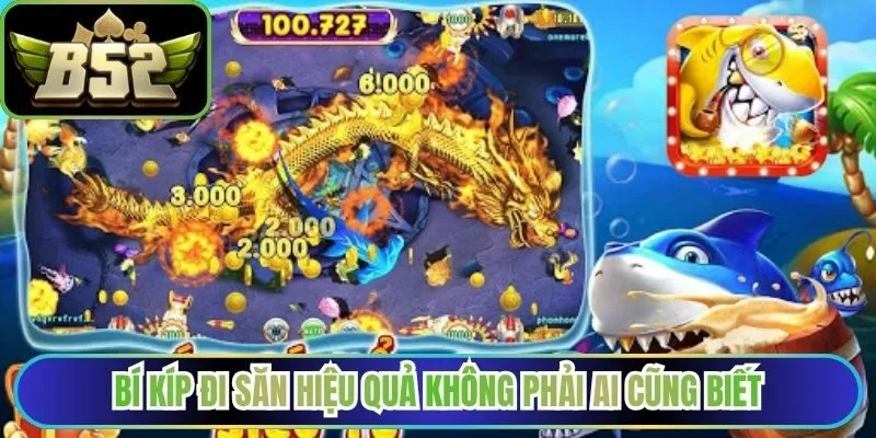 Bí kíp đi săn hiệu quả không phải ai cũng biết