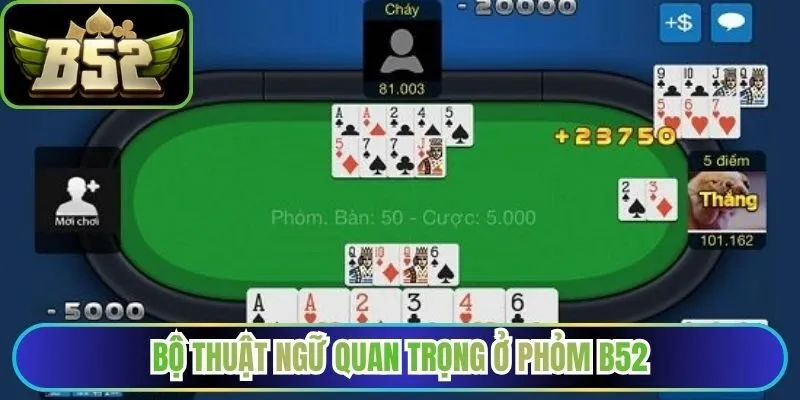 Bộ thuật ngữ quan trọng ở phỏm B52