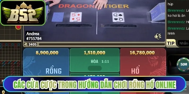 Các cửa cược cơ bản trong hướng dẫn chơi Rồng Hổ Online