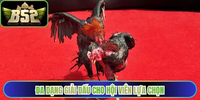 Đa dạng giải đấu để hội viên tham gia