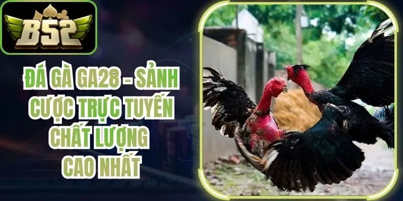 Đá Gà GA28 – Sảnh Cược Trực Tuyến Chất Lượng Cao Nhất
