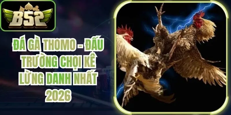 Đá Gà Thomo - Đấu Trường Chọi Kê Lừng Danh Nhất 2026