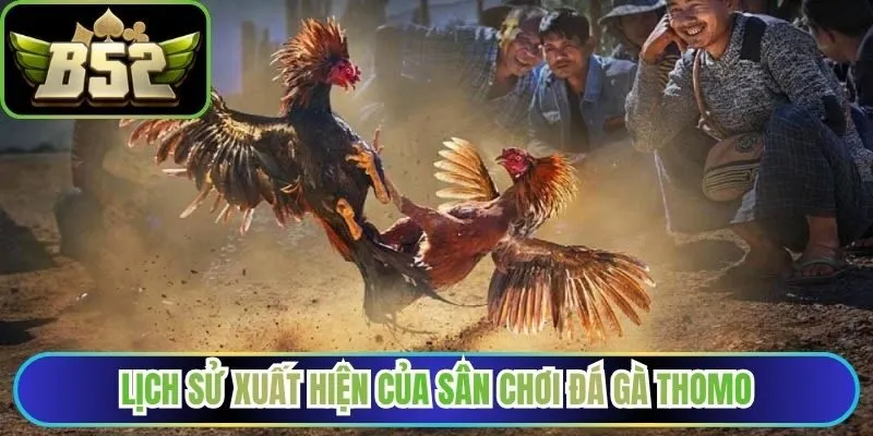 Lịch sử xuất hiện của sân chơi đá gà Thomo
