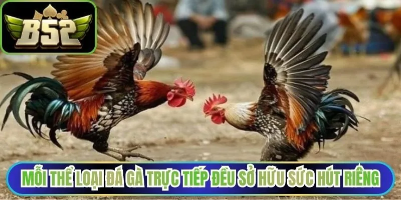 Mỗi thể loại đá gà trực tiếp đều sở hữu sức hút riêng