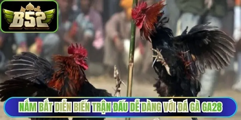 Nắm bắt diễn biến trận đấu dễ dàng với đá gà GA28