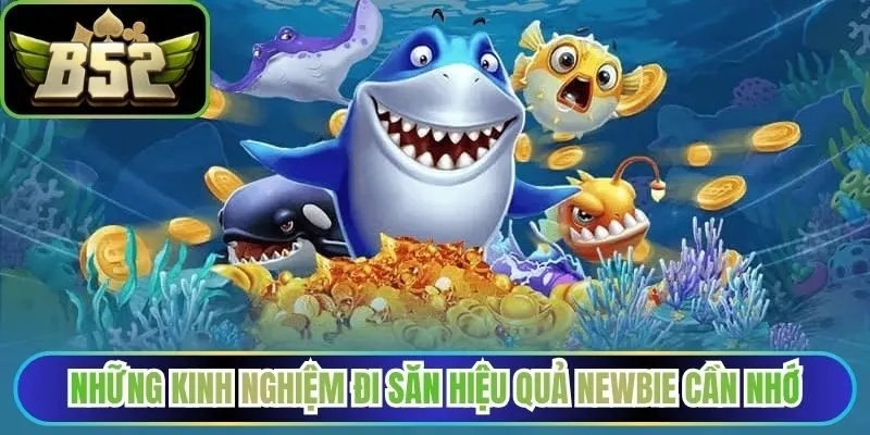 Những kinh nghiệm đi săn hiệu quả newbie cần nhớ
