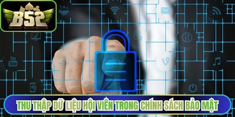 Thu thập dữ liệu hội viên trong chính sách bảo mật