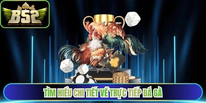 Tìm hiểu chi tiết về hình thức trực tiếp đá gà